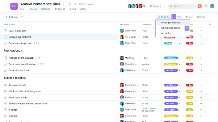 Asana action plan