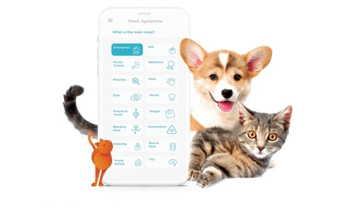 Joii Pet Care app