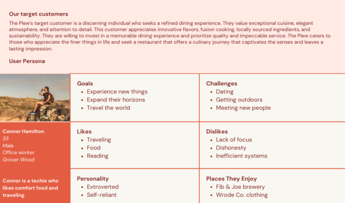 Startups' example: market analysis in a business plan 